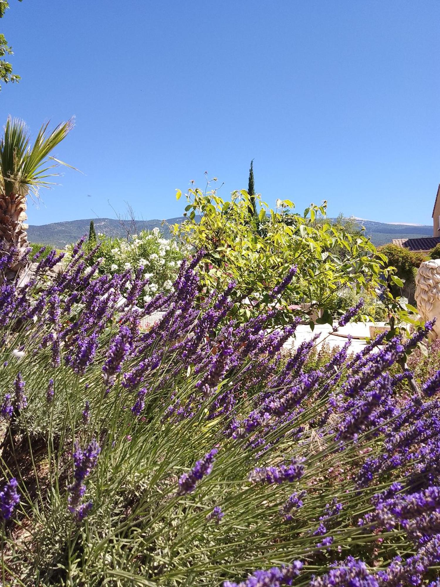 Les Gites Du Mont Ventoux Bédoin Eksteriør billede